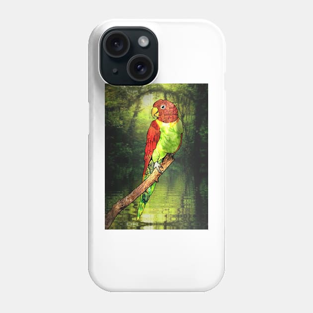 Parrot No:7 Phone Case by BLZBob