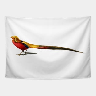 Vintage male golden pheasant bird Tapestry