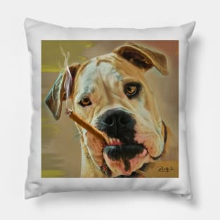 $100 Across the Board ! - Funny Animal Cartoons Pillow