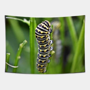 Swallowtail Caterpillar Tapestry