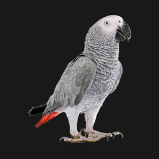 African Gray Parrot T-Shirt