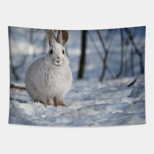 Snow Shoe Hare Tapestry