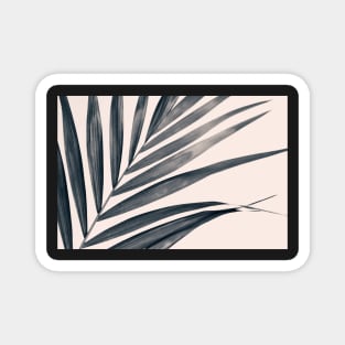 Gray Palm #1 Magnet