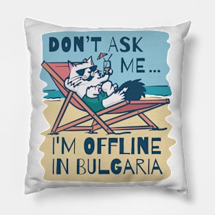 Cat At The Beach Funny Pillow