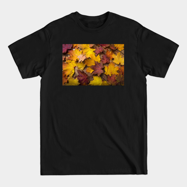 Discover Fall Leaves - Fall Leaves - T-Shirt