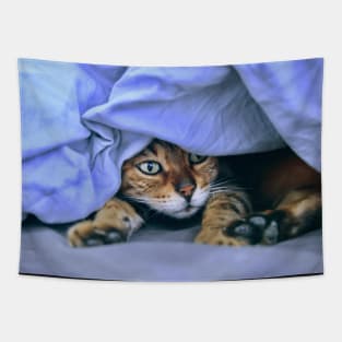 Katze im Nest / Swiss Artwork Photography Tapestry