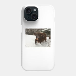 Scottish Highland Cattle Calf 1911 Phone Case