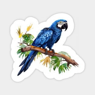 Hyacinth Macaw Magnet