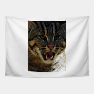 Fishing Cat Tapestry