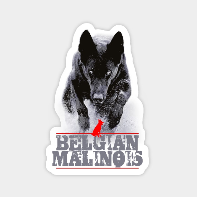 Belgian Malinois Magnet by Toby Wilkinson