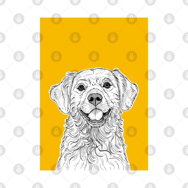 Golden Retriever ( yellow background ) by AdamRegester