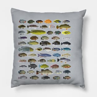 Cichlid Group Pillow