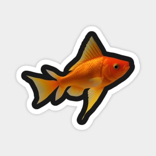 Gold Fish Magnet