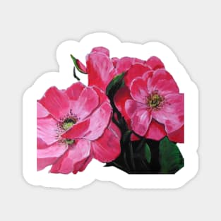 Pink Bush Roses Magnet