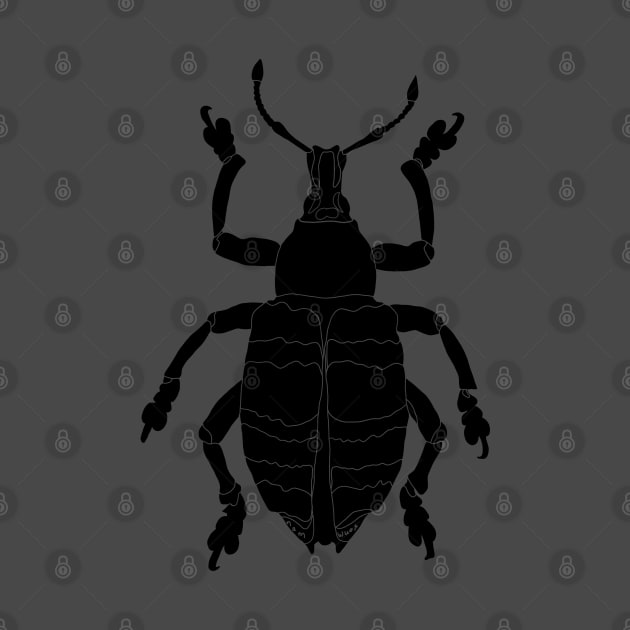 Weevil beetle (Curculionoidea) silhouette by Namwuob
