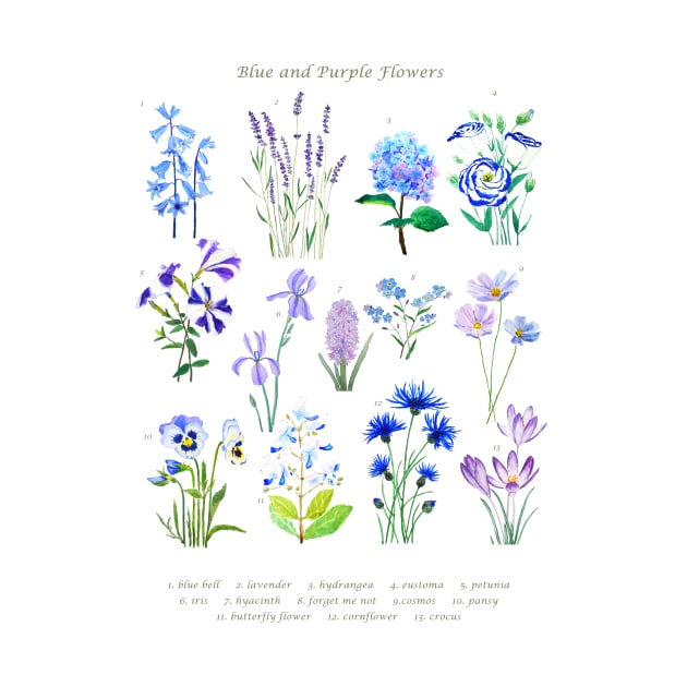 blue purple flowers collection by colorandcolor