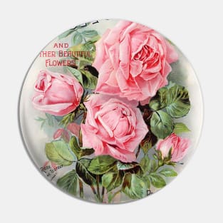 Scott's Roses, Seed Catalogue Pin