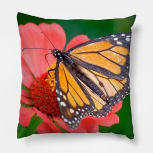 Monarch Butterfly Rests on a Flower Photograph Pillow