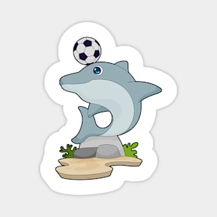 Dolphin Soccer player Soccer Magnet