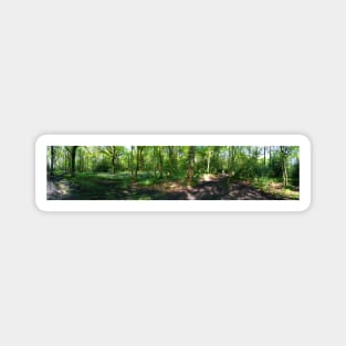 Bluebell Panorama Magnet