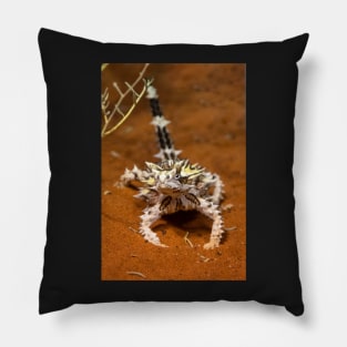 Thorny Devil, Outback Australia Pillow