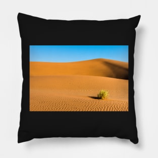 Sossusvlei II Pillow