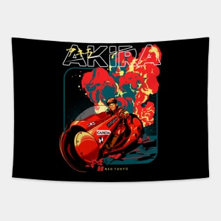 Akira Tapestry