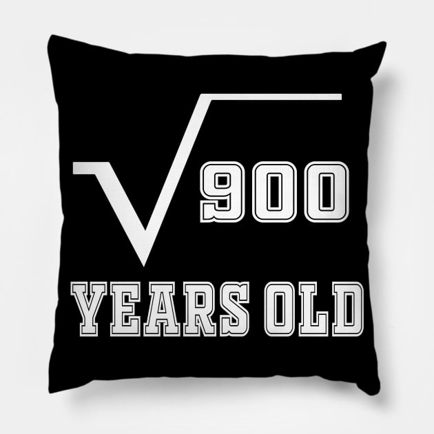 30 years old birthday Pillow by Work Memes