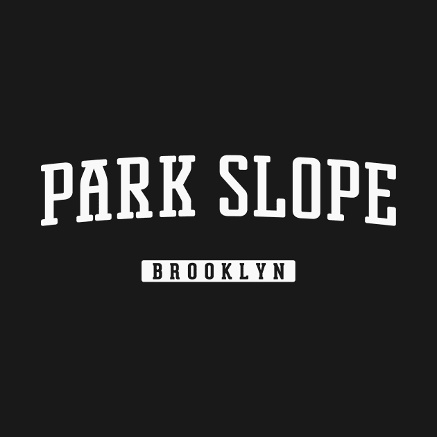 Park Slope Brooklyn by Vicinity