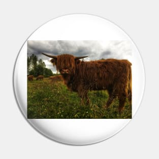 Scottish Highland Cattle Calf 2044 Pin