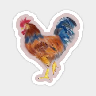 rooster  Animal illustration Magnet