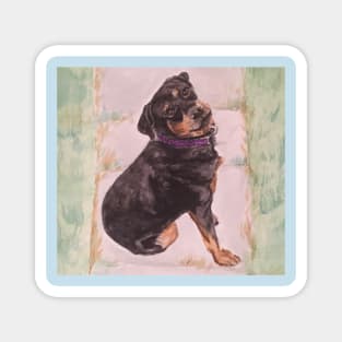 Fraulein the Rottie Watercolor Magnet