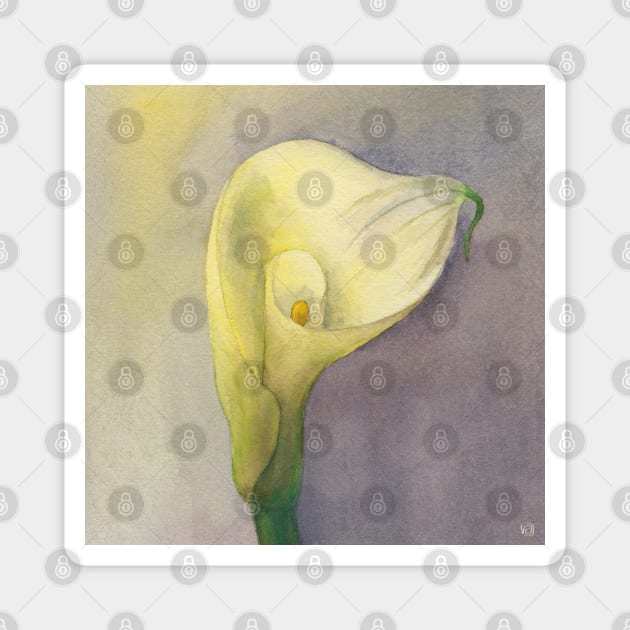 Calla Lily Flower Magnet by VeraAlmeida