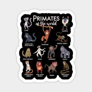 Many species of monkeys - types of primates Magnet