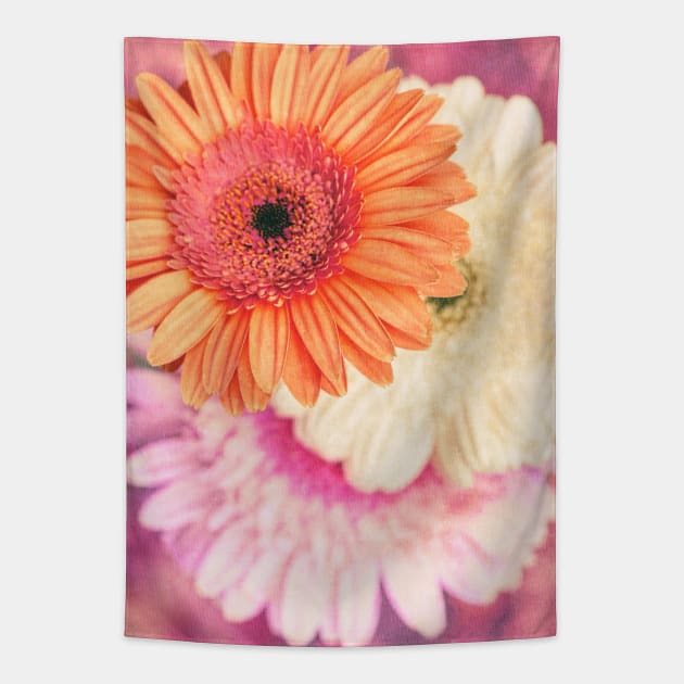 Daisy - Golden on Pink Tapestry by micklyn