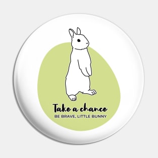 Take a chance, little rabbit Pin