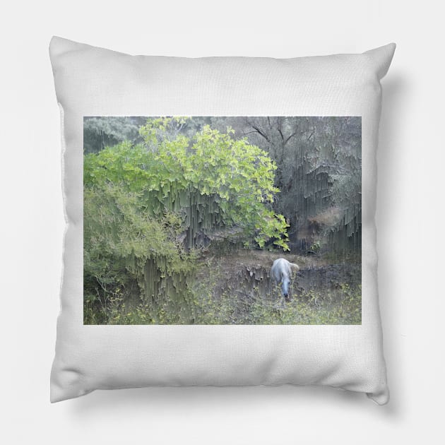 Wild Fennel Pillow by aeolia