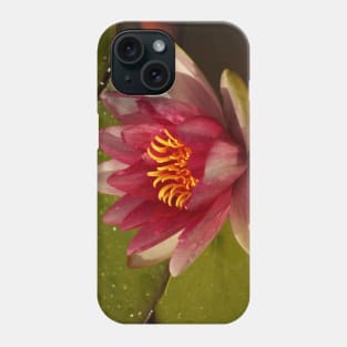 Pink Water Lily Phone Case