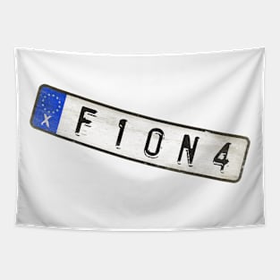 Fiona - License Plate Tapestry