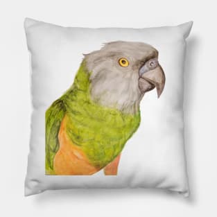 Youyou of Senegal Parrot Parrot Tropical Bird Watercolor Art Print Pillow