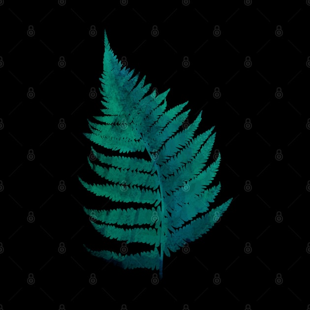 Fern by wroxee