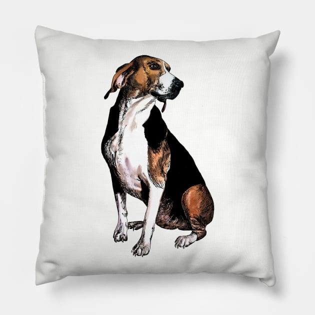 beagle Pillow by VicaVeresk