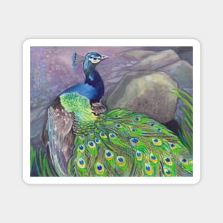 Elegant Peacock Magnet
