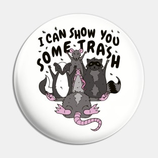 I Can Show You Some Trash Funny Trash Animals Pin