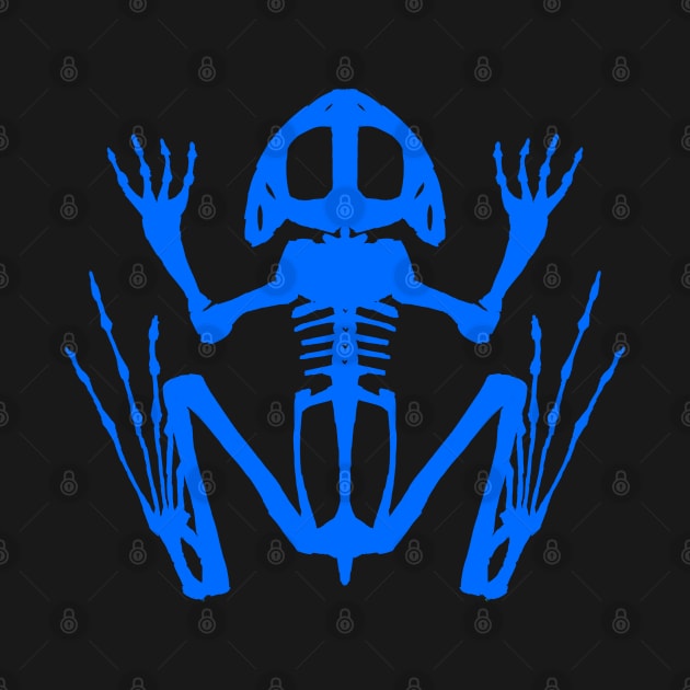 Frog Skeleton (Blue) by braincase