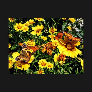 Butterflies - Orange Butterflies on Yellow Coreopsis T-Shirt