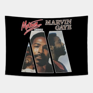 Marvin Gaye Ballad Brilliance Tapestry