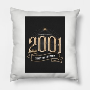 Born in 2001 Pillow