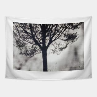 Shadow of Tree on White Brick Wall Tapestry