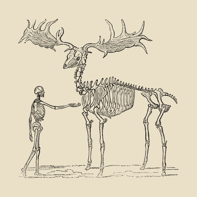 giant deer skeleton by mydearboy